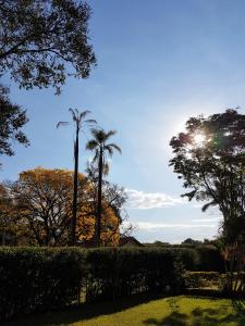 Pousada Vila Minas في ايتانهاندو: حديقة فيها نخيل والشمس في السماء