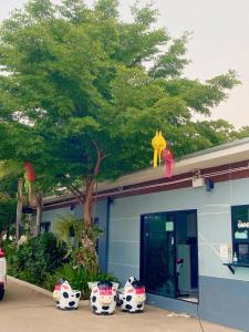 a tree on the roof of a building with vases at Relax Resort in Nakhon Sawan