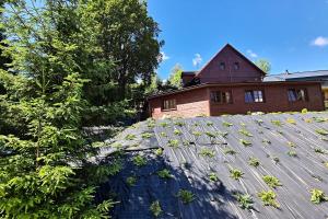 Hoone, kus külalistemaja asub