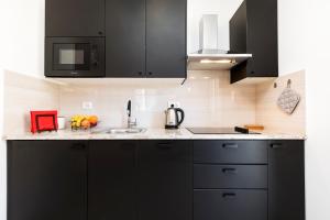 Kuchyň nebo kuchyňský kout v ubytování Apartment Medea, St. Martin