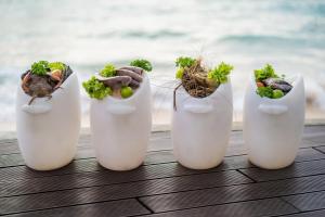 Fotografie z fotogalerie ubytování Hikkaduwa Beach Hotel - Special Deal on 3 Night or More Stays v Hikkaduwě