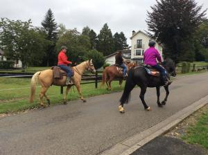 een groep mensen die paardrijden in een straat bij La Hotteuse in Chiny