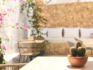 a cactus in a pot sitting on a table at Hotel Abaco Altea in Altea