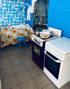 a kitchen with a stove and a stove top oven at Novaya Dacha in Kurortne