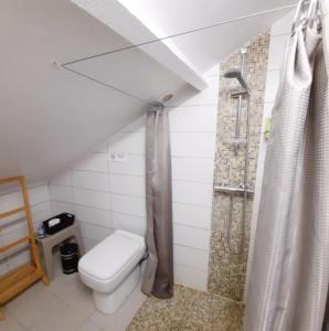 ein Bad mit einem WC und einer Dusche in der Unterkunft Les Paridés in Boulogne-sur-Mer