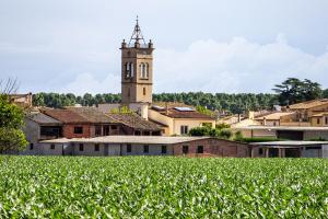 una ciudad con una torre de reloj y un campo de cultivos en CASA NÚRIA con Piscina pública y solarium en Bescanó