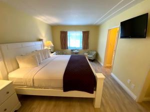 a bedroom with a large bed and a flat screen tv at Hollywood Celebrity Hotel in Los Angeles
