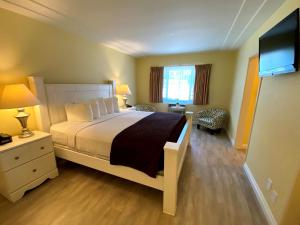 a bedroom with a large bed and a flat screen tv at Hollywood Celebrity Hotel in Los Angeles