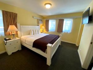 a bedroom with a large bed and a television at Hollywood Celebrity Hotel in Los Angeles