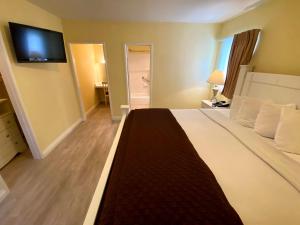 a bedroom with a large bed and a flat screen tv at Hollywood Celebrity Hotel in Los Angeles