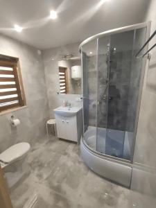 a bathroom with a shower and a toilet and a sink at Agroturystyka i Domki Zacisze in Jarosławiec +49 photos