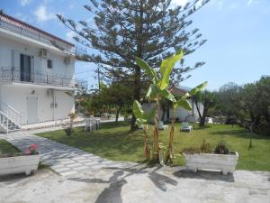 A garden outside Akropolis studios