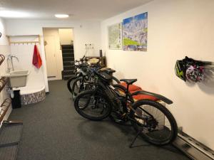 Jízda na kole v ubytování Appartement Hubner nebo okolí