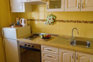 Kuchyň nebo kuchyňský kout v ubytování Apartments Vinka