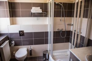 a bathroom with a shower and a toilet and a sink at Hotel Három Gúnár in Kecskemét