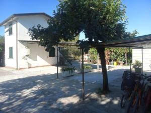 un pavillon avec un arbre et des vélos garés sous celui-ci dans l'établissement Nonna Piera, à Marina di Carrara