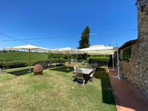 a patio with tables and umbrellas on the grass at Agriturismo Macinello in Montefiridolfi