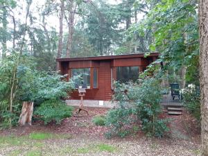 eine kleine Hütte im Wald mit Bäumen in der Unterkunft t'Bakkersboschje nummer 5 in Putten