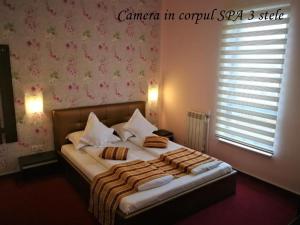 トゥルダにあるSalis Hotel & Medical Spaの窓付きの部屋にベッド付きのベッドルーム1室があります。