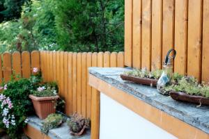 A garden outside Tarno Guest House
