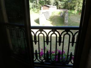 A garden outside Os NOVOS