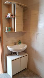 een badkamer met een wastafel en een spiegel bij Gemütliche wohnung in Bühl