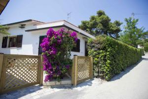 Gallery image of Il Caubbio in Lacona