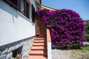 Un escalier avec des fleurs violettes sur le côté d'un bâtiment dans l'établissement Il Caubbio, à Lacona