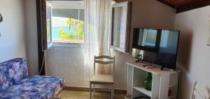 een woonkamer met een tv en een stoel en een raam bij Apartment Zdenka in Dinjiška