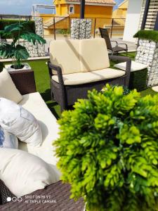 グラン・アラカントにあるVilla Don Pedroの籐の椅子と緑の植物のあるパティオ