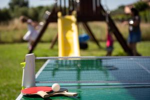 Stolní tenis v ubytování Borgo Verde nebo okolí