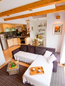 Apartment Noris في سبليت: غرفة معيشة مع أريكة ومطبخ
