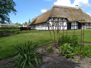 una casa antigua con techo de paja y jardín en Baekgaarden B&B en Sandholts-Lyndelse