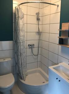 a bathroom with a shower with a toilet and a sink at Zastava Apartamenty in Włoszczowa