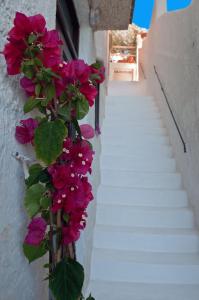 Foto da galeria de Cefalù Caldura house em Cefalù