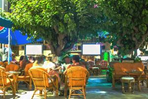 a group of people sitting in chairs under a tree at Stefania Studios by Estia in Stalís