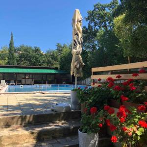 a umbrella sitting next to a swimming pool with flowers at Hotel Varshava in Golden Sands
