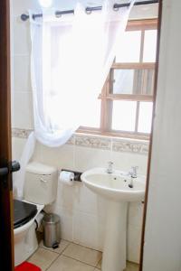 een badkamer met een wastafel, een toilet en een raam bij Hardekool Guesthouse in Thabazimbi