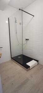 a bathroom with a shower with a glass door at Apartments Katarina in Stara Novalja