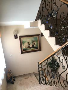 Ave del Mar