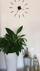 Photo de la galerie de l'établissement Zajazd CHATA Kębłowo, à Kębłowo