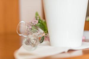 Nápoje v ubytování Hotel Klek