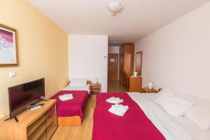 TV a/nebo společenská místnost v ubytování Hotel Klek