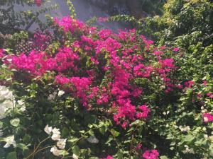 Fotografie z fotogalerie ubytování Confetti House v destinaci Quy Nhon + 41 fotografií