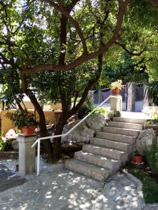 Zahrada ubytování Apartman Lori