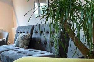 La Tuya Deluxe Villa في ياش: أريكة زرقاء جالسة بجوار نبات الفخار