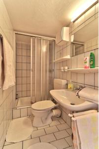 a white bathroom with a toilet and a sink at Pension Maria in Hauzenberg