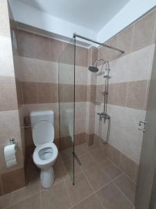 uma casa de banho com um WC e uma cabina de duche em vidro. em Apartament Posada em Curtea de Argeş