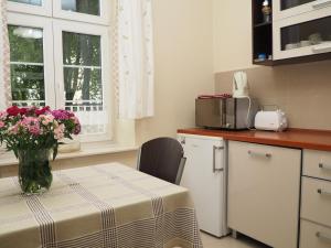 Kuchyňa alebo kuchynka v ubytovaní Grand-Tourist Apartments - Anker