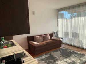 a living room with a couch and a sink at Bavaria Club Apartman in Balatonlelle